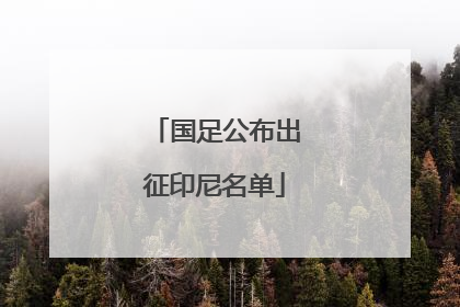 国足公布出征印尼名单