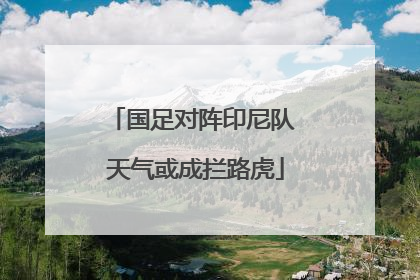 国足对阵印尼队 天气或成拦路虎