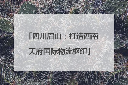 四川眉山：打造西南天府国际物流枢纽