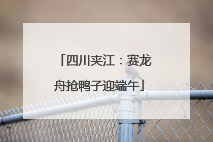 四川夹江：赛龙舟抢鸭子迎端午