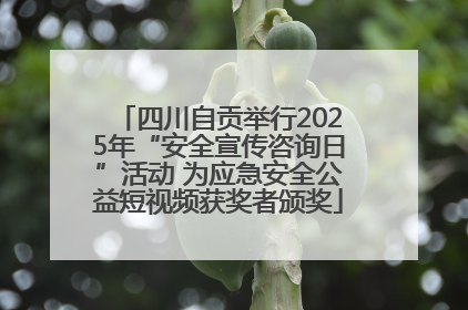 四川自贡举行2025年“安全宣传咨询日”活动 为应急安全公益短视频获奖者颁奖