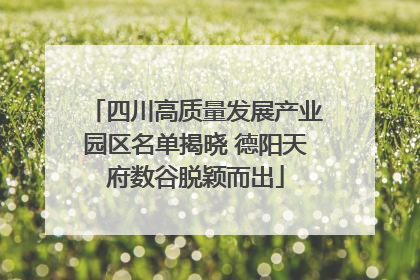 四川高质量发展产业园区名单揭晓 德阳天府数谷脱颖而出