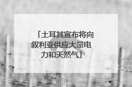 土耳其宣布将向叙利亚供应大量电力和天然气