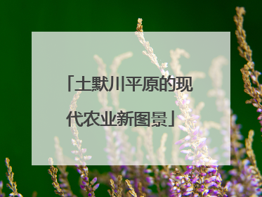 土默川平原的现代农业新图景