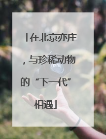 在北京亦庄，与珍稀动物的“下一代”相遇