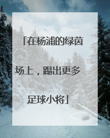 在杨浦的绿茵场上，踢出更多足球小将