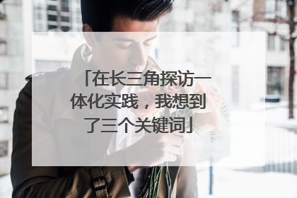 在长三角探访一体化实践，我想到了三个关键词