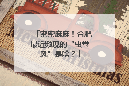 密密麻麻！合肥最近频现的“虫卷风”是啥？