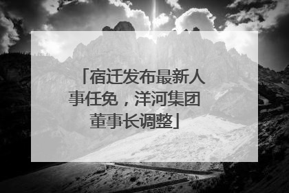 宿迁发布最新人事任免，洋河集团董事长调整