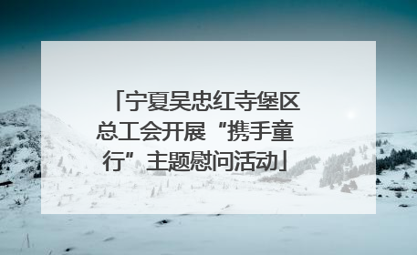 宁夏吴忠红寺堡区总工会开展“携手童行”主题慰问活动