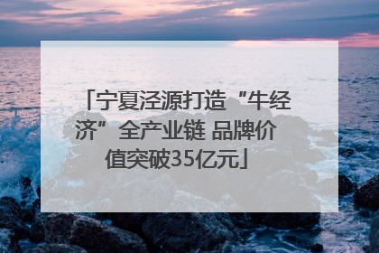 宁夏泾源打造“牛经济”全产业链 品牌价值突破35亿元