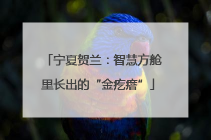 宁夏贺兰：智慧方舱里长出的“金疙瘩”