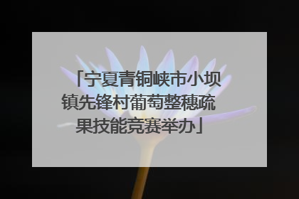 宁夏青铜峡市小坝镇先锋村葡萄整穗疏果技能竞赛举办