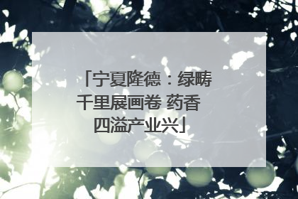 宁夏隆德：绿畴千里展画卷 药香四溢产业兴