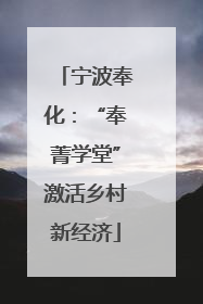 宁波奉化：“奉菁学堂”激活乡村新经济