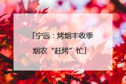 宁远：烤烟丰收季 烟农“赶烤”忙