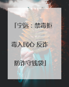 宁远：禁毒拒毒入民心 反诈防诈守钱袋