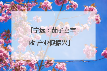 宁远：茄子喜丰收 产业促振兴