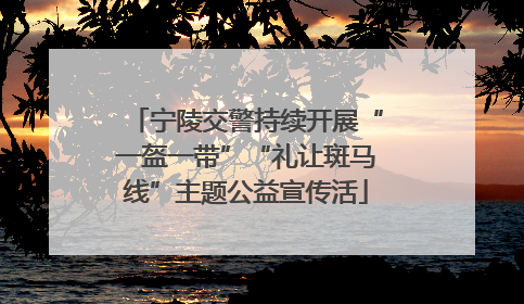 宁陵交警持续开展“一盔一带”“礼让斑马线”主题公益宣传活