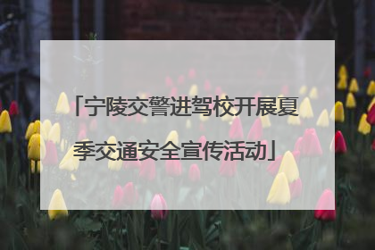 宁陵交警进驾校开展夏季交通安全宣传活动