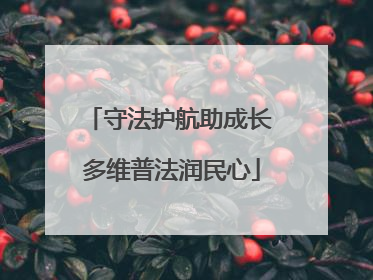 守法护航助成长 多维普法润民心