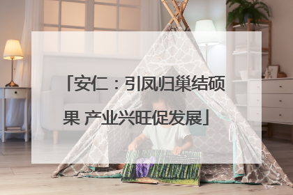 安仁：引凤归巢结硕果 产业兴旺促发展