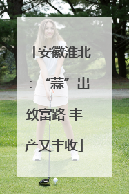 安徽淮北：“蒜”出致富路 丰产又丰收