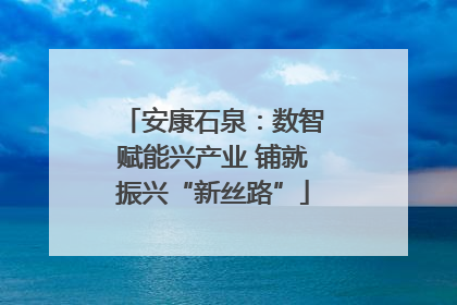 安康石泉：数智赋能兴产业 铺就振兴“新丝路”