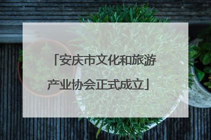 安庆市文化和旅游产业协会正式成立