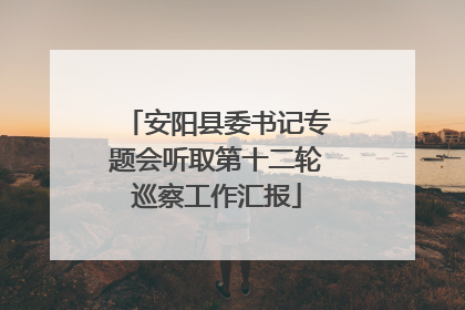 安阳县委书记专题会听取第十二轮巡察工作汇报