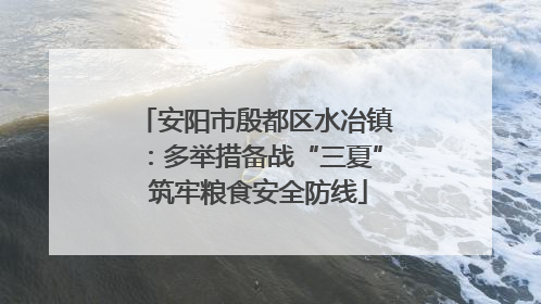安阳市殷都区水冶镇:多举措备战“三夏” 筑牢粮食安全防线
