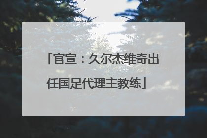 官宣：久尔杰维奇出任国足代理主教练