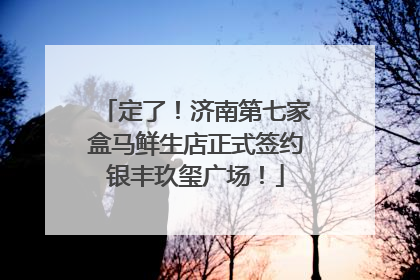 定了！济南第七家盒马鲜生店正式签约银丰玖玺广场！