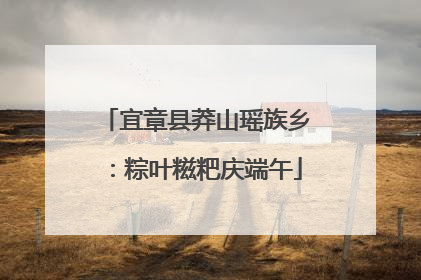 宜章县莽山瑶族乡：粽叶糍粑庆端午