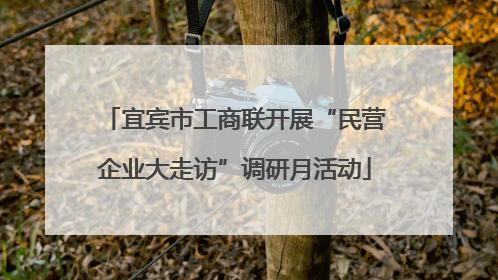 宜宾市工商联开展“民营企业大走访”调研月活动