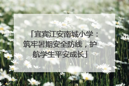宜宾江安南城小学：筑牢暑期安全防线，护航学生平安成长