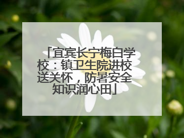 宜宾长宁梅白学校：镇卫生院进校送关怀，防暑安全知识润心田