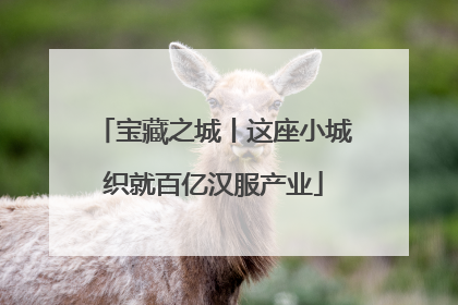宝藏之城丨这座小城织就百亿汉服产业