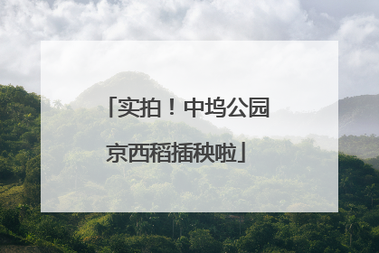 实拍！中坞公园京西稻插秧啦