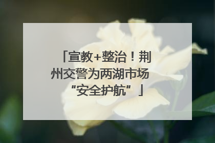 宣教+整治！荆州交警为两湖市场“安全护航”