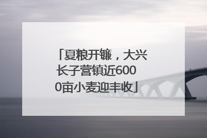 夏粮开镰，大兴长子营镇近6000亩小麦迎丰收
