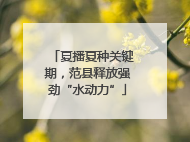 夏播夏种关键期，范县释放强劲“水动力”