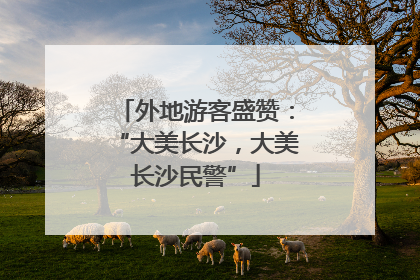 外地游客盛赞：“大美长沙，大美长沙民警”