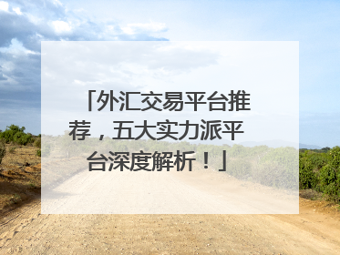外汇交易平台推荐，五大实力派平台深度解析！