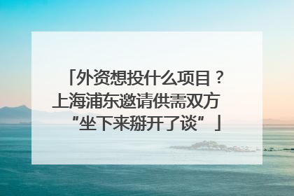 外资想投什么项目？上海浦东邀请供需双方“坐下来掰开了谈”