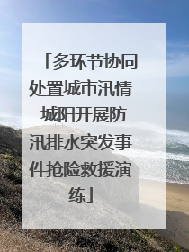 多环节协同处置城市汛情 城阳开展防汛排水突发事件抢险救援演练