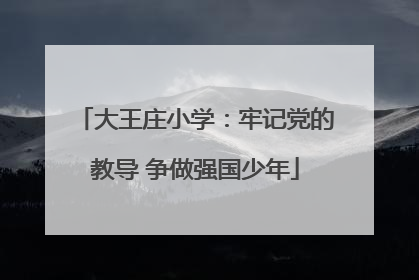 大王庄小学：牢记党的教导 争做强国少年