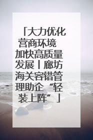 大力优化营商环境 加快高质量发展丨廊坊海关容错管理助企“轻装上阵”