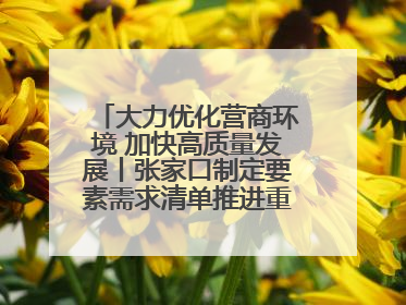大力优化营商环境 加快高质量发展丨张家口制定要素需求清单推进重点项目建设