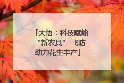 大悟：科技赋能“新农具” 飞防助力花生丰产